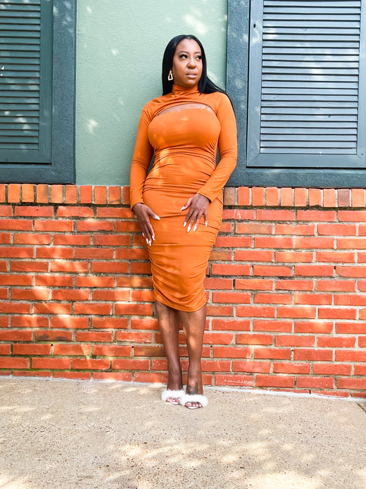 Pumpkin Spice Dress Set